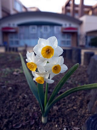 施設写真