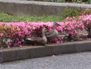 施設写真